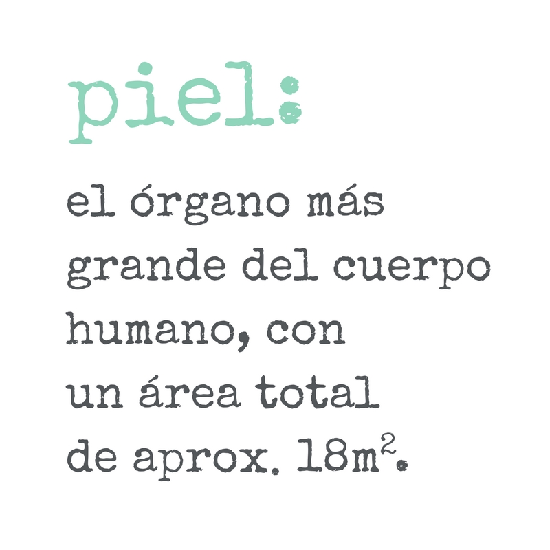 La Piel